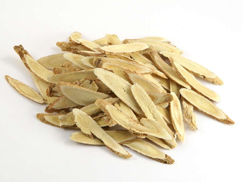 astragalus